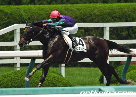 f:id:sousuke621:20170729214016j:plain