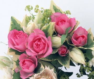 f:id:souteigai:20090329224915j:image f:id:souteigai:20090329224915j:image