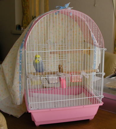 f:id:souteigai:20090912111129j:image f:id:souteigai:20090912111129j:image