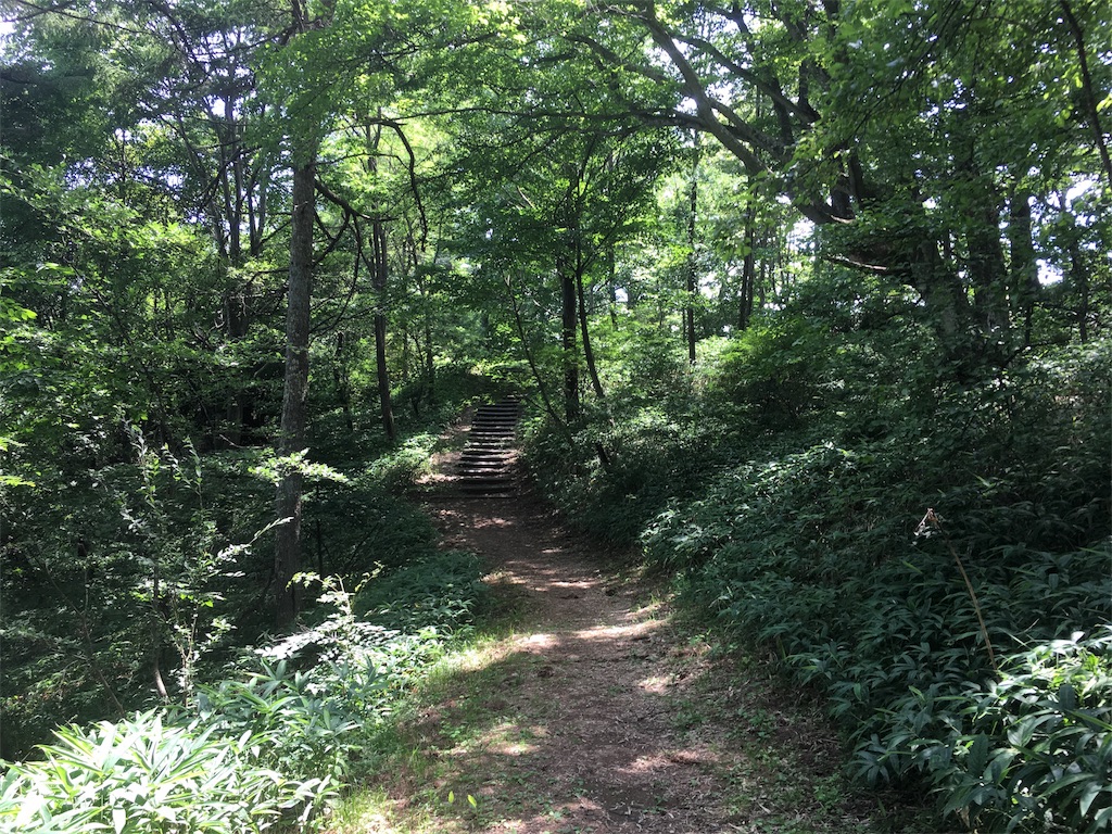 f:id:south-stamp22:20180727233247j:image f:id:south-stamp22:20180727233247j:image