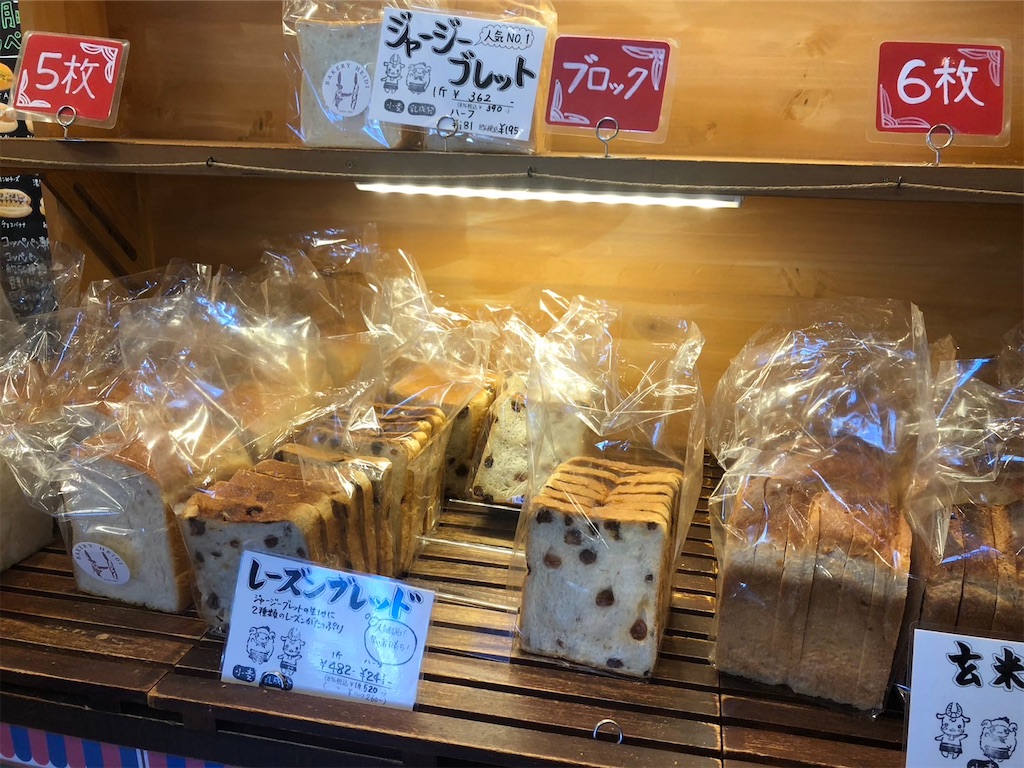 f:id:southerncross2019:20230312183056j:image