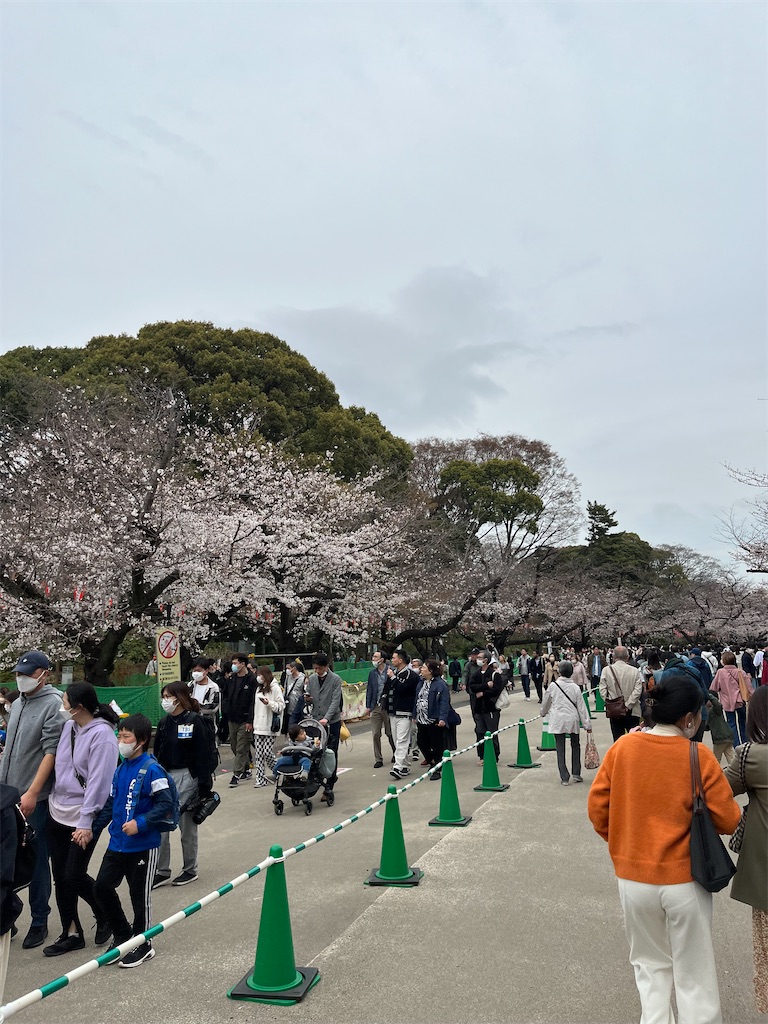 f:id:southerncross2019:20230322155108j:image