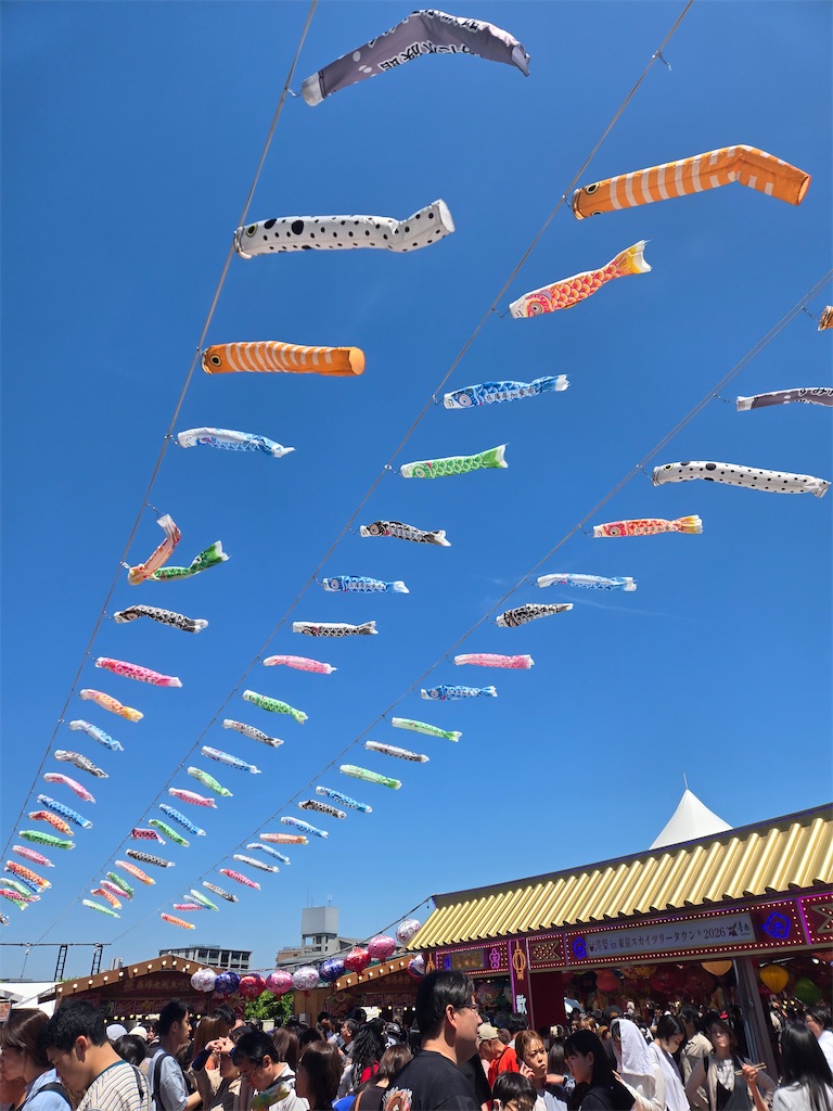 f:id:southerncross2019:20260510134712j:image
