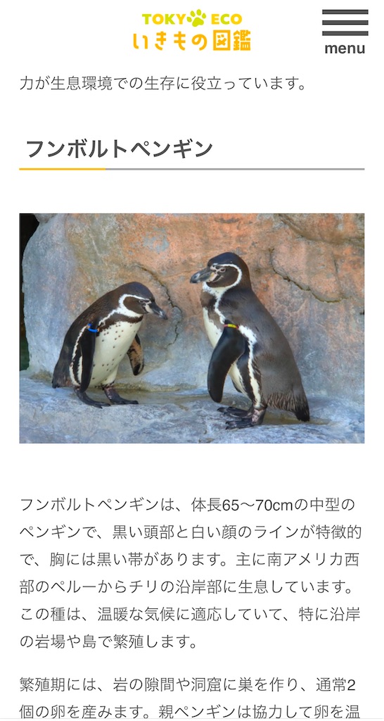 f:id:southnorthkun:20241223171014j:image f:id:southnorthkun:20241223171014j:image
