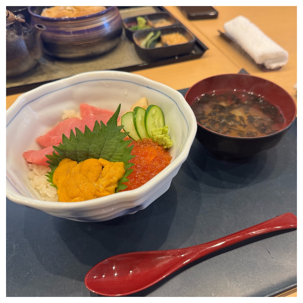 f:id:southnorthkun:20250703231506j:image