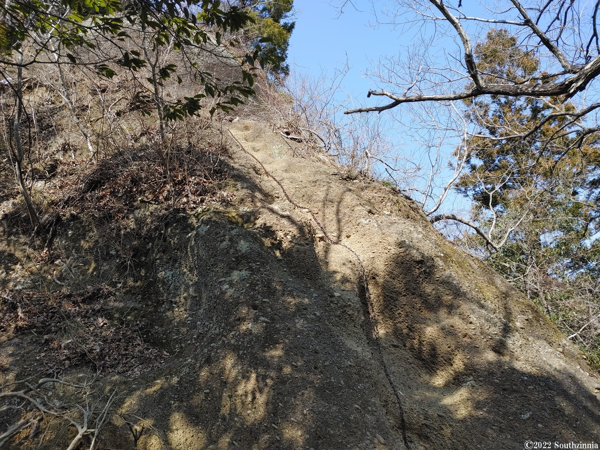 f:id:southzinnia:20220322183947j:plain