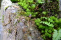 20100912003855