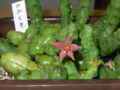 20110828113714