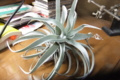 20120125221604