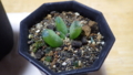 20140330201951