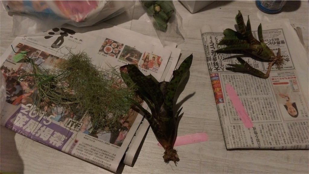 f:id:soutyu:20151210230127j:image f:id:soutyu:20151210230127j:image