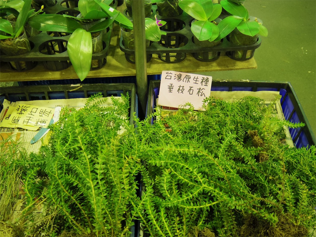 f:id:soutyu:20151210230459j:image f:id:soutyu:20151210230459j:image