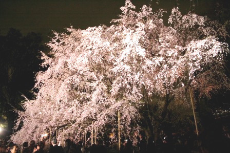 f:id:souxouquit:20100402190750j:image f:id:souxouquit:20100402190750j:image