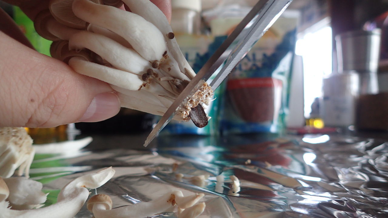 f:id:sowhatsowhatsowhatsowhat:20200726162010j:plain