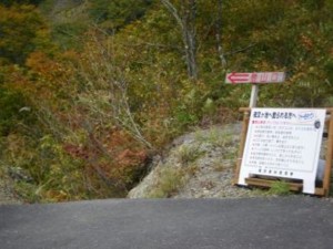 f:id:sox_chita:20101103092851j:image f:id:sox_chita:20101103092851j:image
