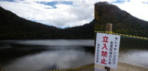 f:id:sox_chita:20101103104938j:image f:id:sox_chita:20101103104938j:image