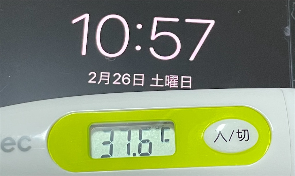 f:id:soy59:20220226135918j:image
