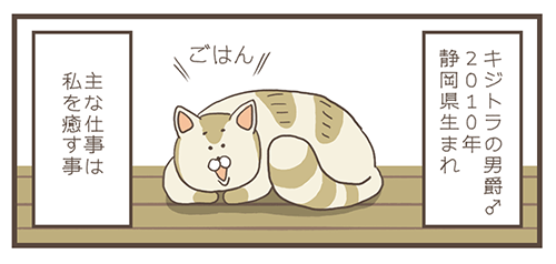 f:id:soybeans01:20190919083021p:plain f:id:soybeans01:20190919083021p:plain