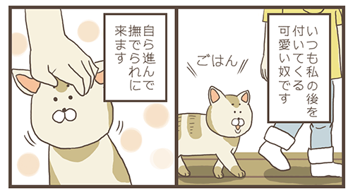 f:id:soybeans01:20190919084919p:plain f:id:soybeans01:20190919084919p:plain