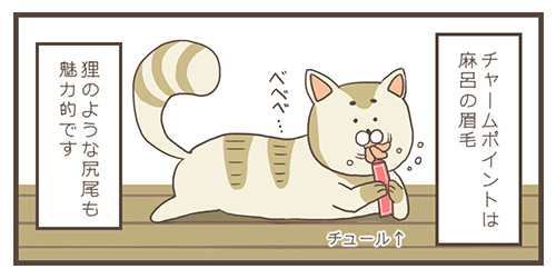 f:id:soybeans01:20190919094801p:plain f:id:soybeans01:20190919094801p:plain