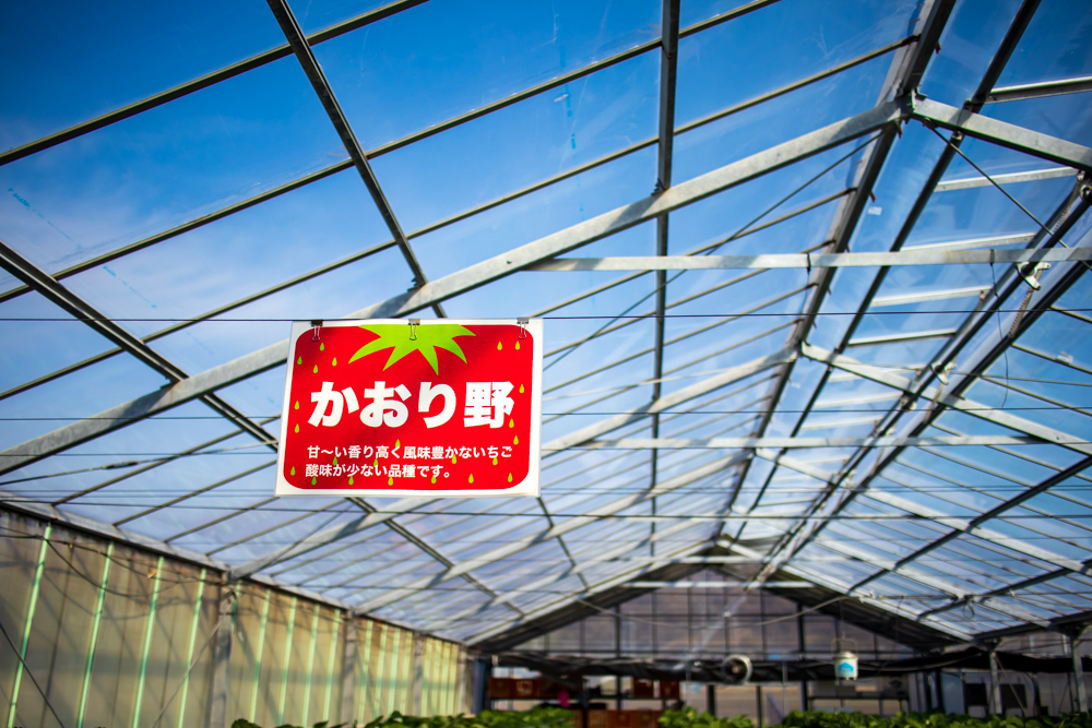 f:id:soybeans37:20200222094056j:image:w600