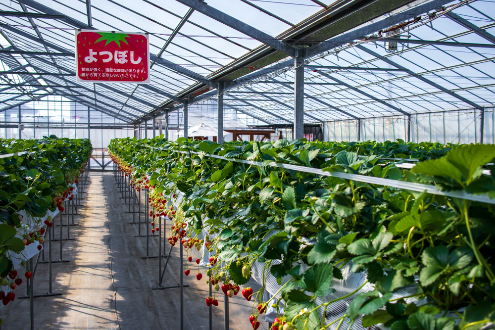 f:id:soybeans37:20200222094626j:image:w600