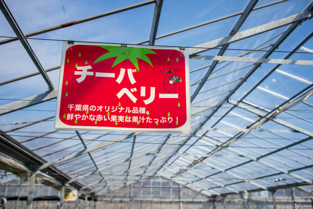 f:id:soybeans37:20200222094834j:image:w600