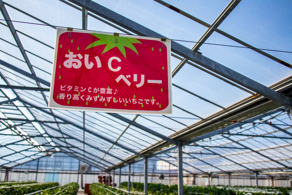 f:id:soybeans37:20200222095052j:image:w600