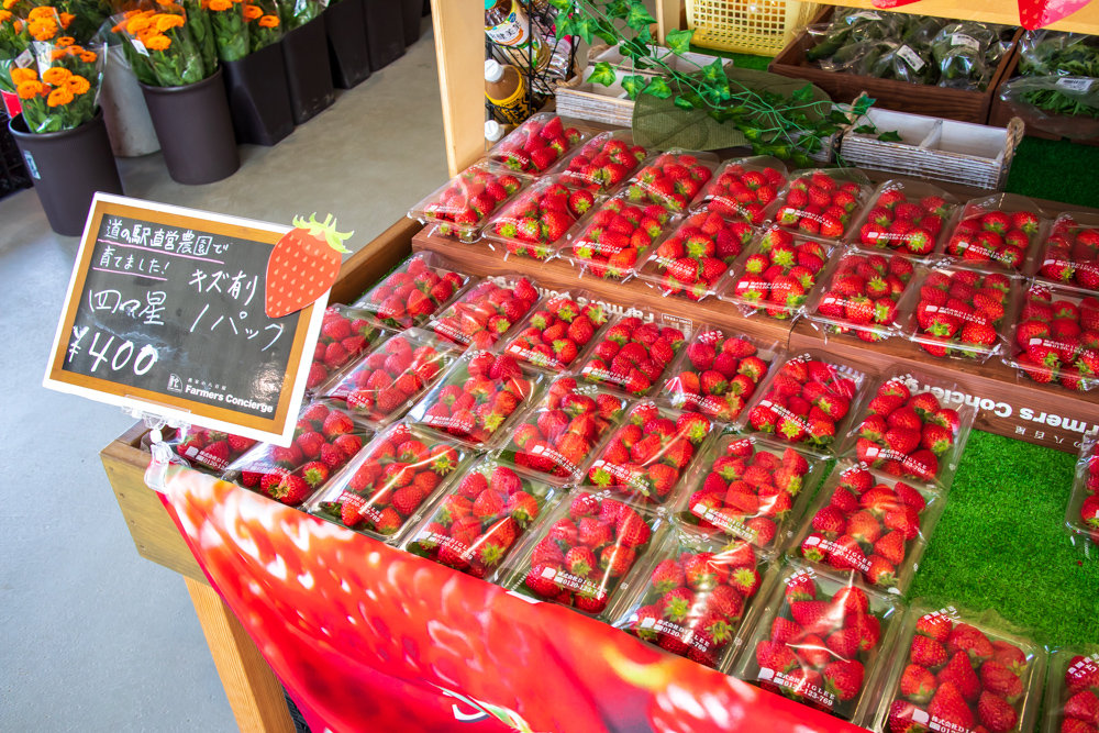 f:id:soybeans37:20200222101811j:image:w600