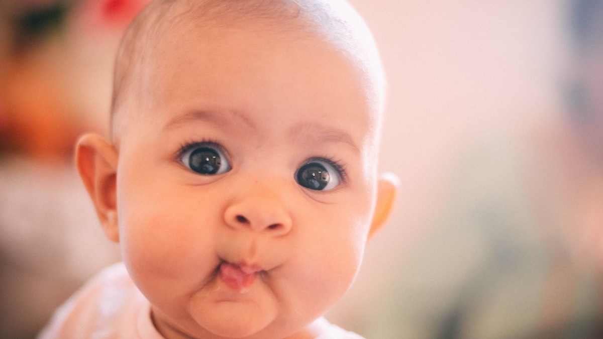 f:id:soybeans6:20211016220359j:plain