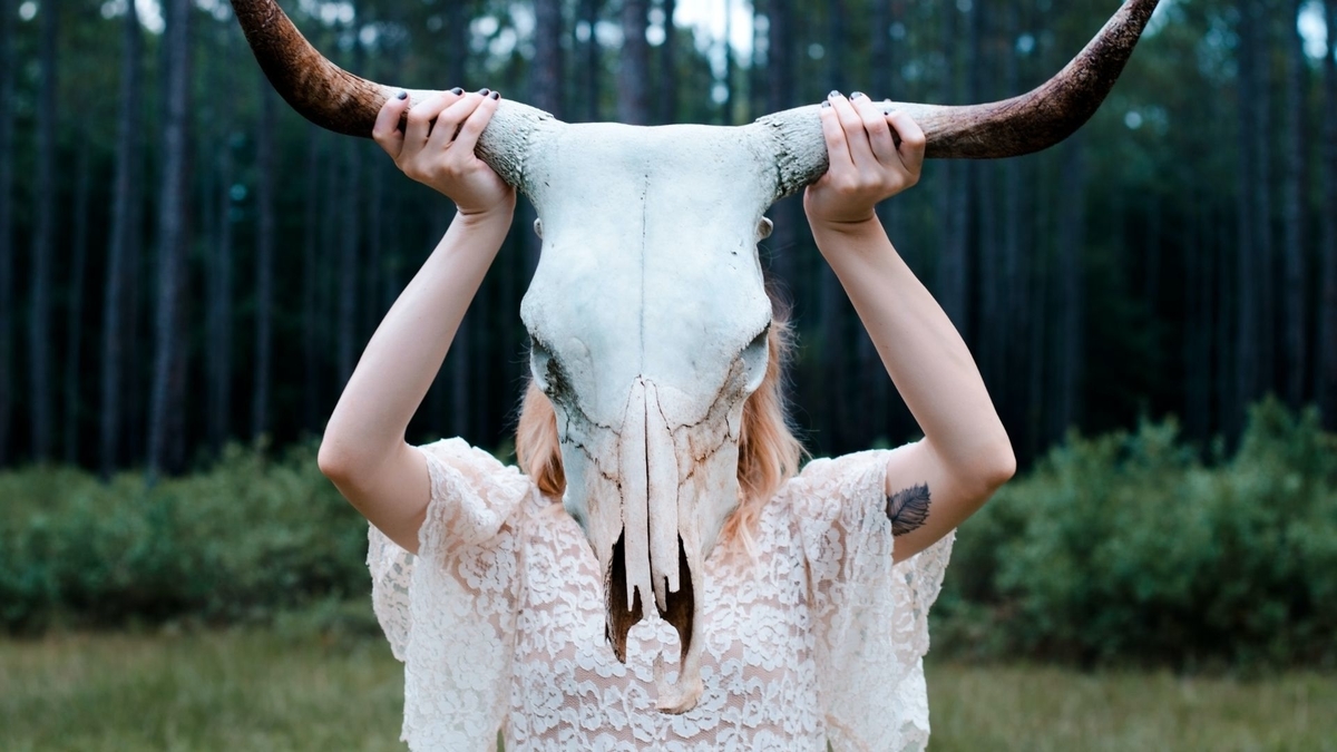 f:id:soybeans6:20211016220414j:plain