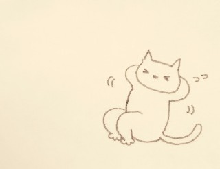 f:id:soycatblg:20210426122108j:image f:id:soycatblg:20210426122108j:image