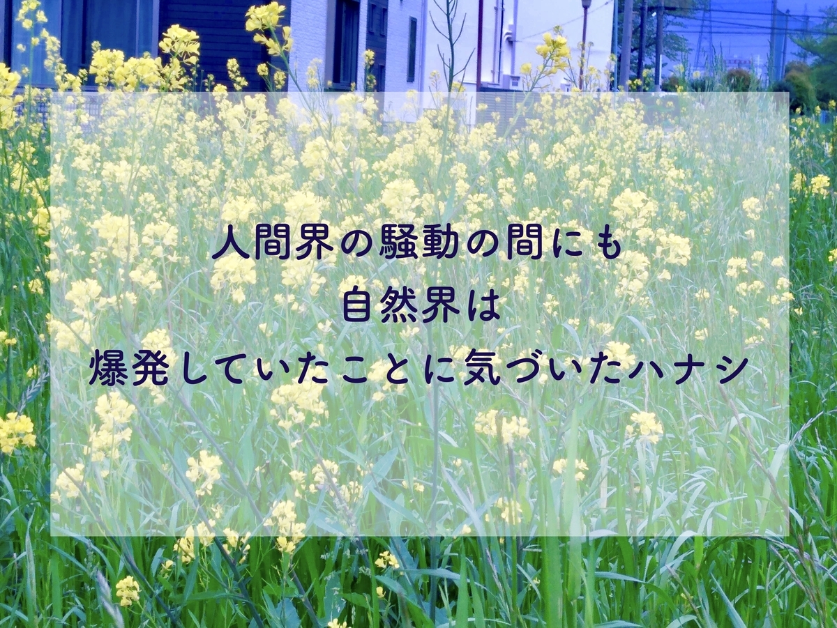 f:id:soyliliani:20200422103911j:plain f:id:soyliliani:20200422103911j:plain