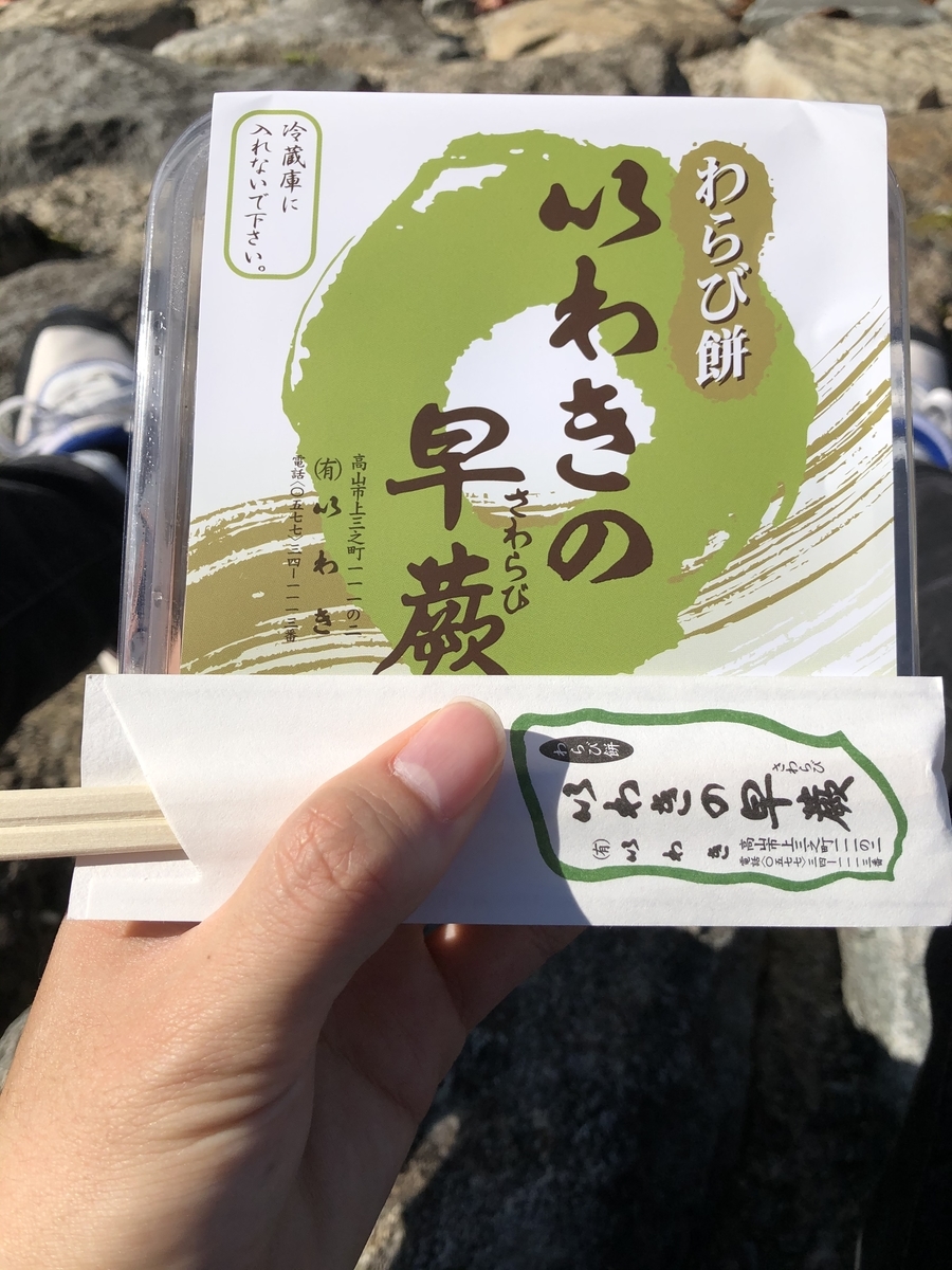 f:id:soysauce_daizoo:20201120195650j:plain
