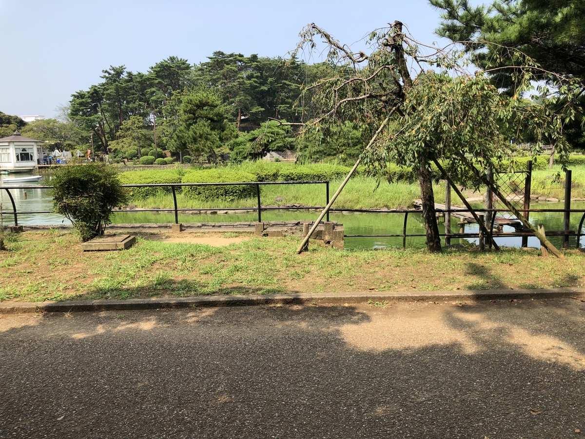 f:id:soysauce_daizoo:20210922174808j:plain