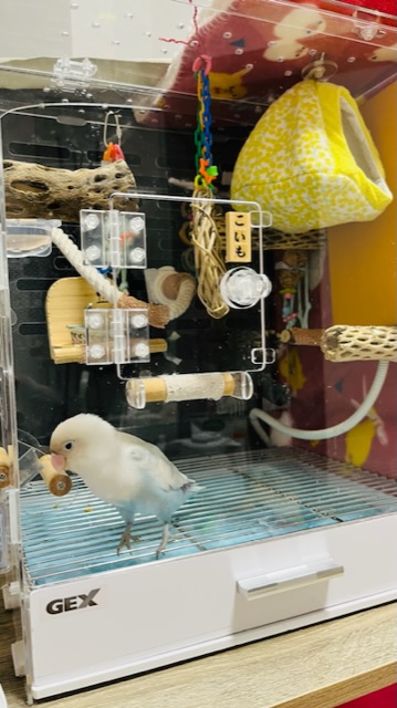 GEX コトリウム350 コトリウム350-Ⅱ | ジェックス株式会社