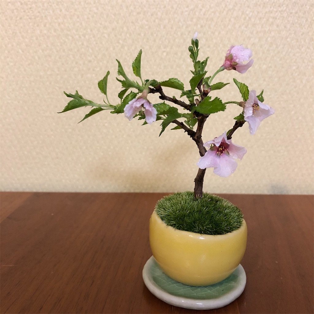 f:id:sp500factm30:20210425101501j:image