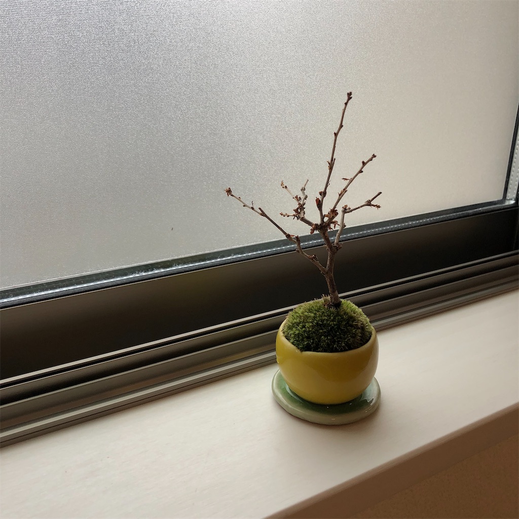 f:id:sp500factm30:20211230105415j:image