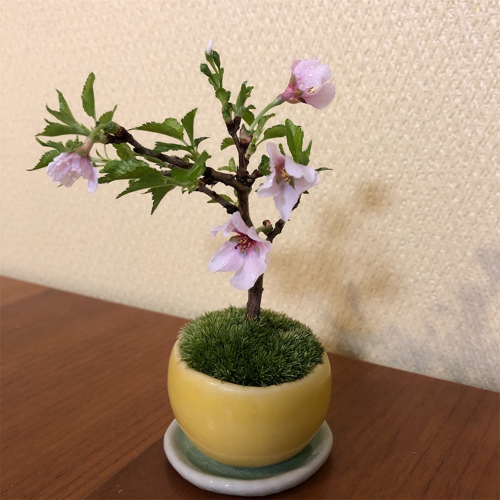 f:id:sp500factm30:20220515231245j:image