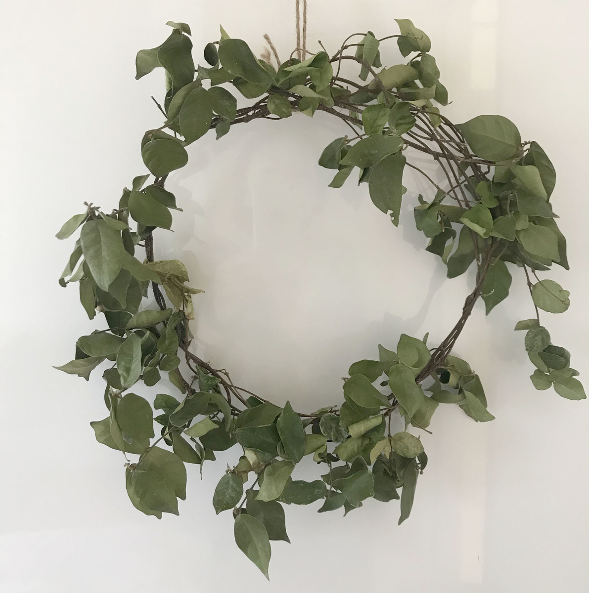 初雪カズラでリースを作ってみました〜つづき - space_with_story