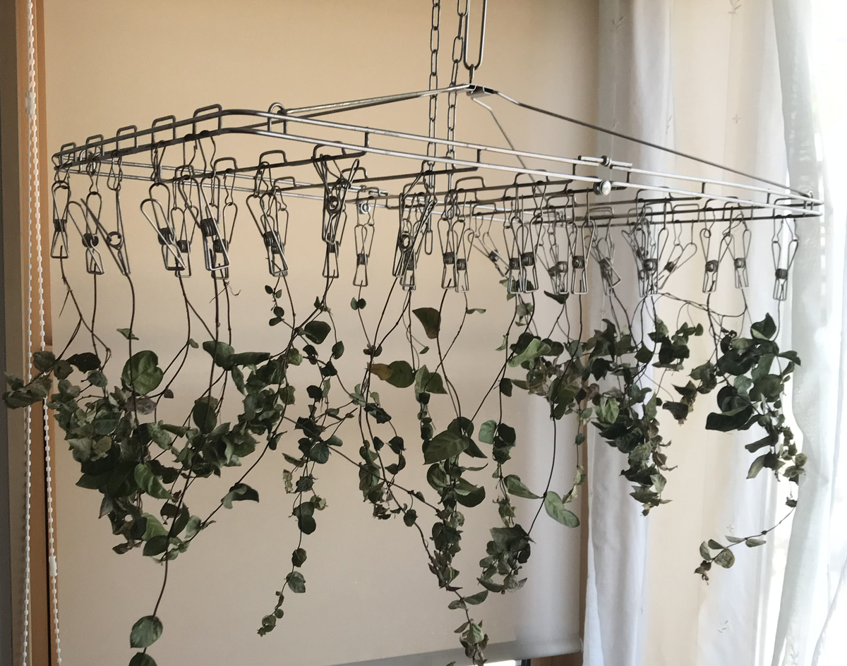 初雪カズラでリースを作ってみました〜つづき - space_with_story