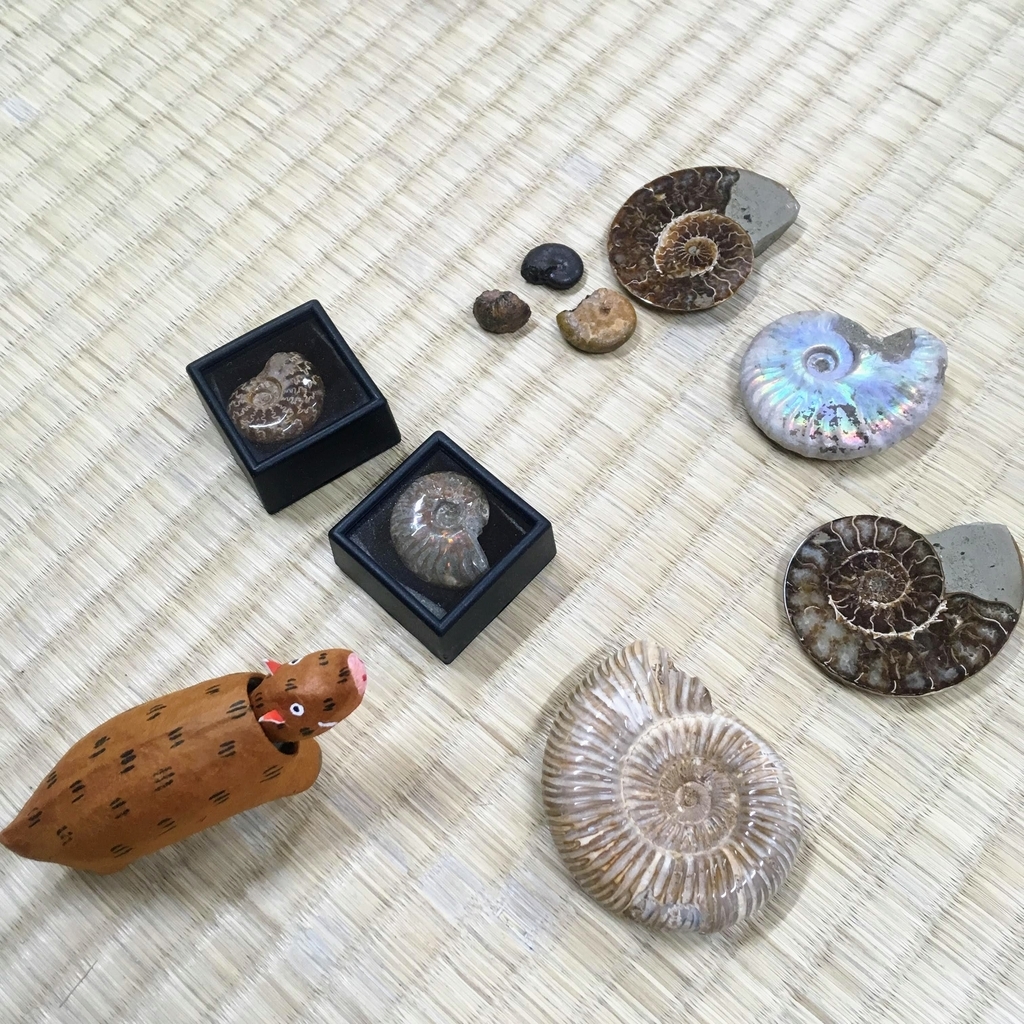 f:id:spacetennomi:20190207142934j:plain f:id:spacetennomi:20190207142934j:plain