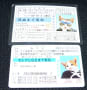 新旧なめ猫