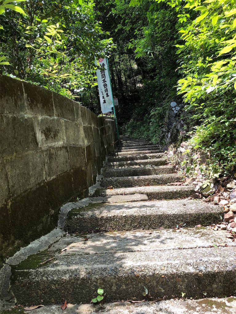 f:id:spanglechan:20210602233536j:image f:id:spanglechan:20210602233536j:image