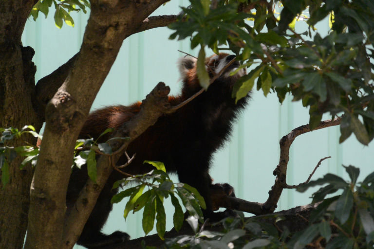 f:id:spanglemaker:20170430112206j:image