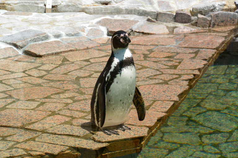 f:id:spanglemaker:20170430114054j:image