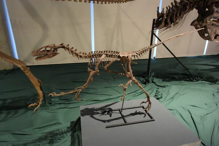 f:id:spanglemaker:20170811113447j:image