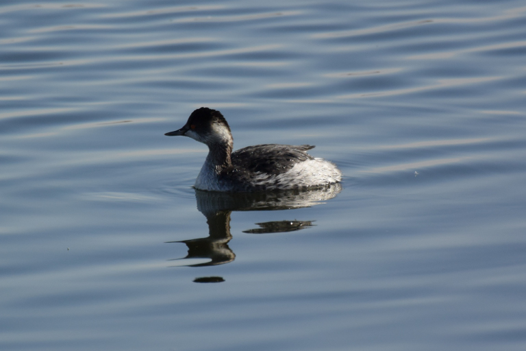 f:id:spanglemaker:20171210132854j:image