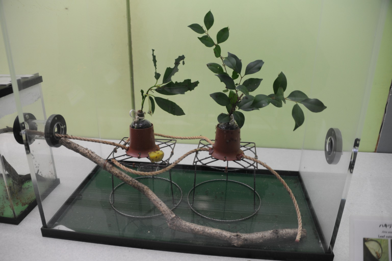 f:id:spanglemaker:20171216114654j:image