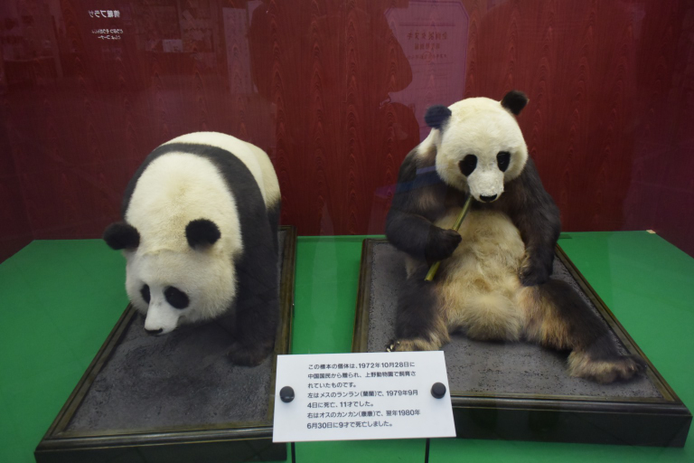 f:id:spanglemaker:20171216142300j:image